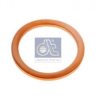 IVECO 1118791 Seal Ring